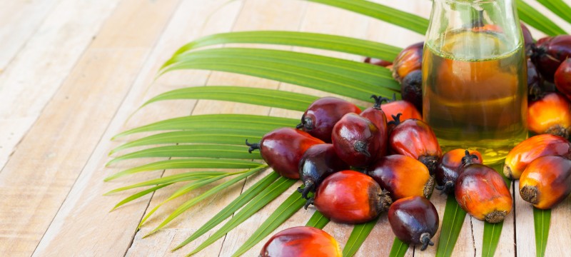 Olej palmowy